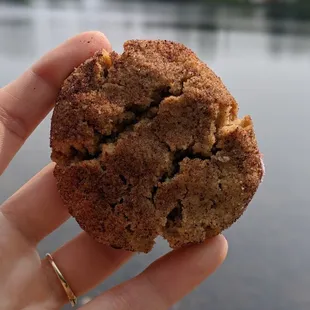 Snickerdoodle cookie