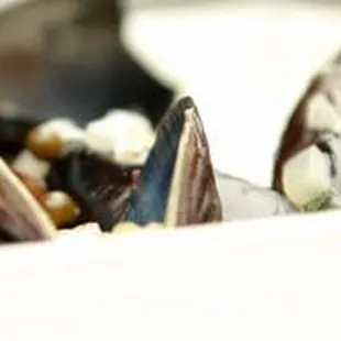 New England Menu | March 16-18 2011 | Green Peppercorn Steamed P.E.I. Mussels