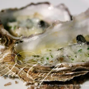 oyster on the half shell | 1680x1050 wallpaper (full size image available for download on facebook page)