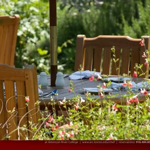 on the patio | 1680x1050 wallpaper (full size image available for download on facebook page)