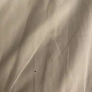 Blood stains