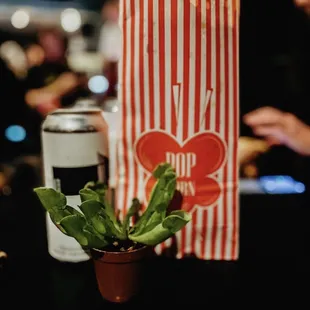 Beer, popcorn, plants AND a movie