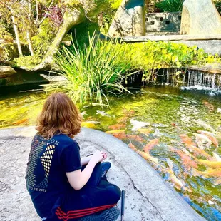 Feeding those Koi!
