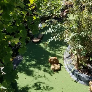 Mini golf at it's finest!