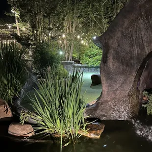 Another amazing landscaping shot of Oasis Ranch!