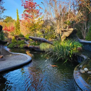 Good morning at the main lagoon.