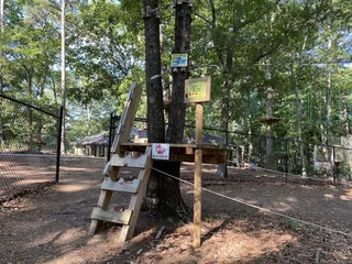 Treetop Quest - Greenville
