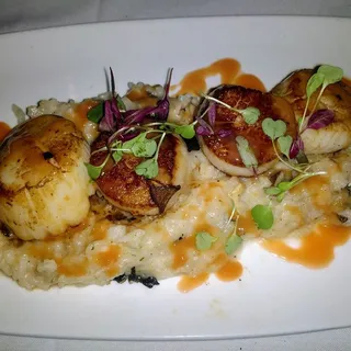 Grilled Georges Bank Scallops