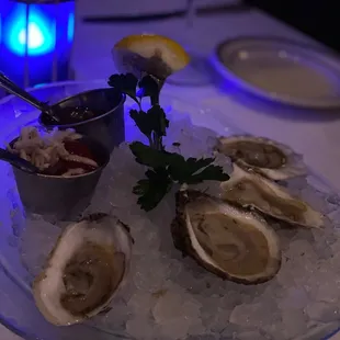 a plate of oysters