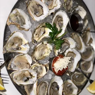 Selection of oysters