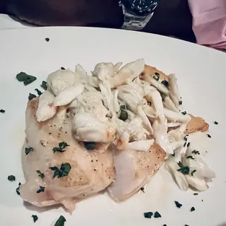 Florida Triggerfish