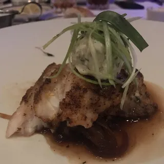 Florida Black Grouper