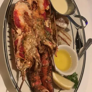 Maine Lobster