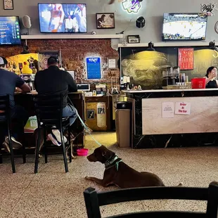 a dog on a leash in a restaurant