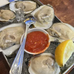Oysters