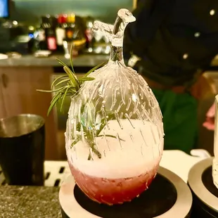 Creative Cocktails