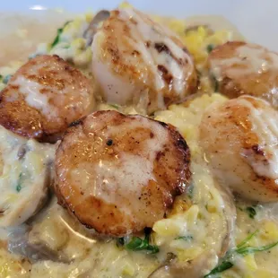 Seared Outer Banks Sea Scallops over oyster mushroom and saffron risotto