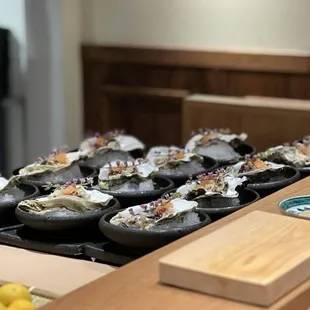 Starter oyster
