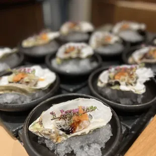 Oysters