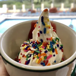 Auto-Dog ice cream