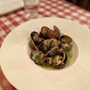 Clam appetizer