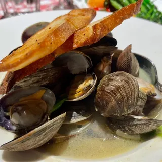 Saute of Clams