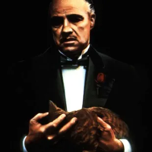 a man in a tuxedo holding a cat