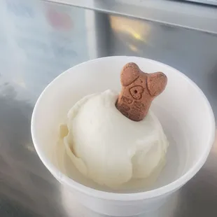 #pupcups #dogfriendly #ReviewsByRL