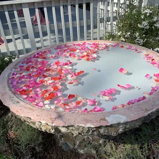 Lovely water feature