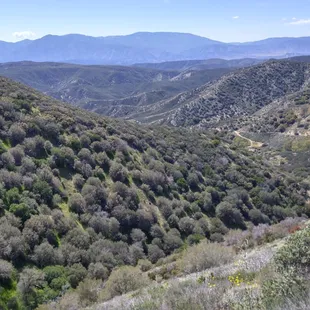 The view from the northern entrance. I was told by another guy that it's also blocked, but not for 5-10 miles in from Highway 138.