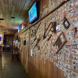 a wall full of license plates