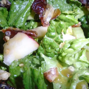 Apple Cranberry Walnut Salad, close-up.