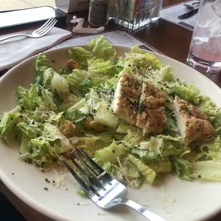 Chicken Caesar Salad