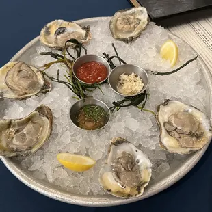 Oysters