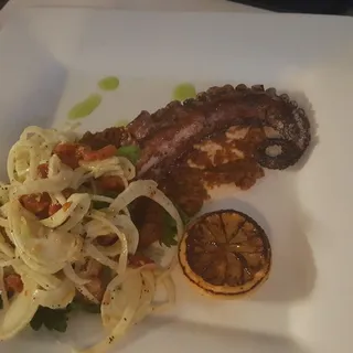 Octopus