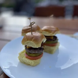 Sliders