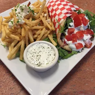 Gyro on a pita with garlic fries