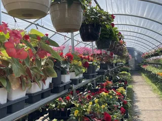 Bedner's Farm Market