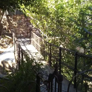Walkway to The Oliver House