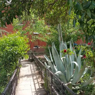 Path to Oliver House.
