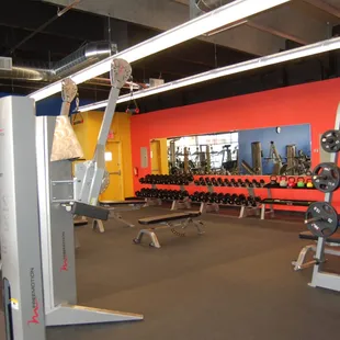 Free Weights and Functional Training Equipment