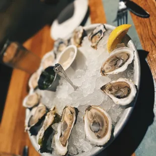 Half Shell Oysters