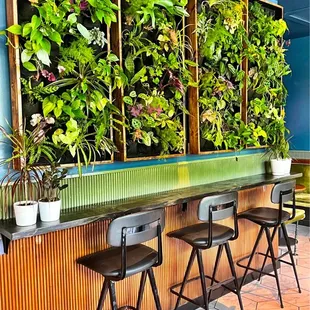 Plant wall