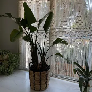 one of the waiting areas