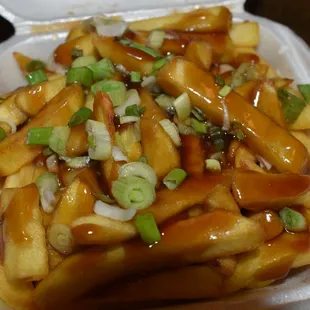 Teriyaki fries w. green onion