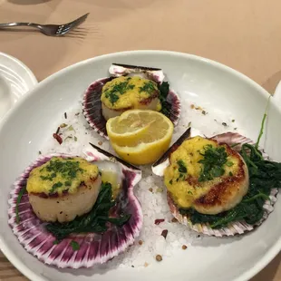 Scallops