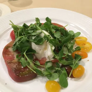 Burrata