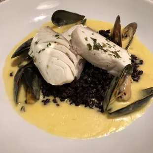 Halibut