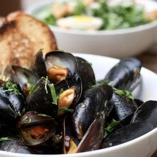 food, oysters and mussels, mussels, shellfish, oysters
