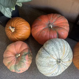 Nice touch with the pumpkins.